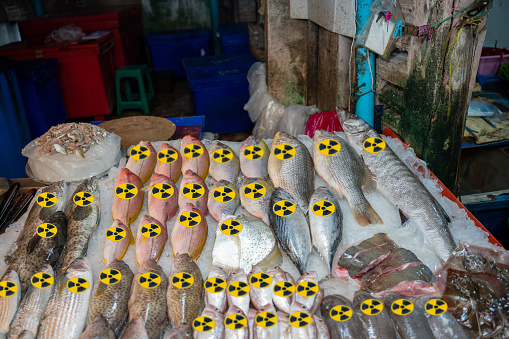 Radioactively contaminated fish