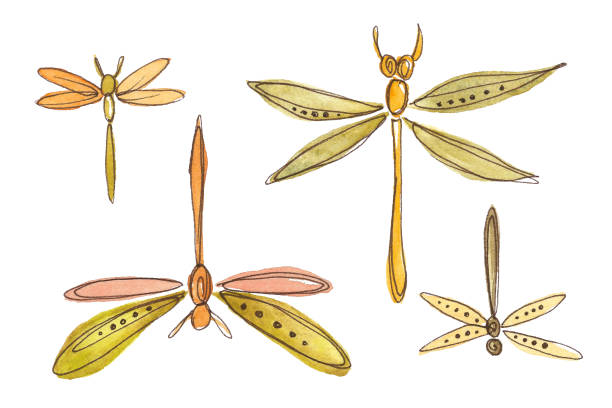 sada dvou velkých a dvou malých vážek s anténami létajícími nahoru a dolů - tetování body art stock ilustrace