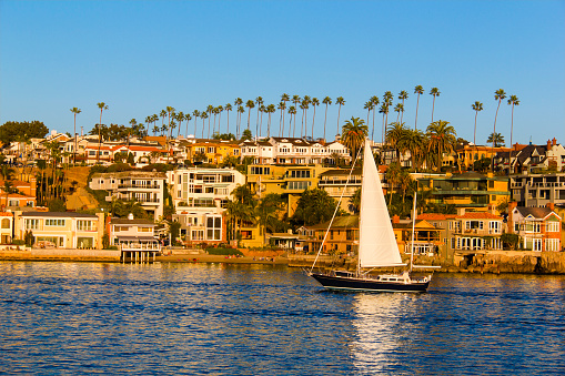 Sailboat with Newport Beach houses in the background, California