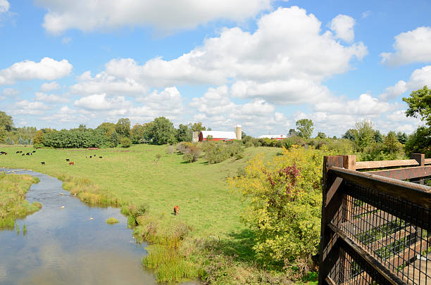 Traditional Farm A traditional midwestern american farm on a sunny day. michigan farmland stock pictures, royalty-free photos & images
