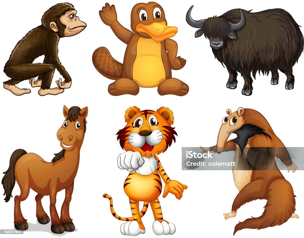 Six different kinds of four-legged animals Six different kinds of four-legged animals on a white background Animal stock vector
