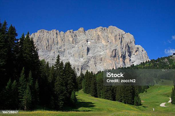 Mount Sassolungo Stock Photo - Download Image Now - Beauty In Nature, Coniferous Tree, Dolomites