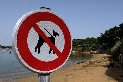 Larmor-Baden, France, september 4, 2023 : Sign indicating a beach prohibited for dogs in close-up