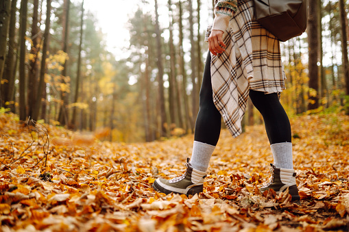 Woman's legs in boots in autumn foliage. Leaf fall. A woman tourist walks through fallen leaves in the autumn forest. Lifestyle concept.