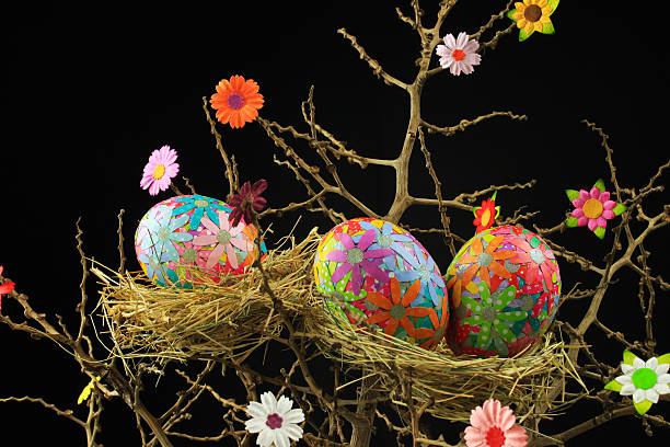 Huevos en el nido. - foto de stock
