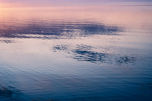 Evening mood reflected in the water of a lake in Mecklenburg-Vorpommern, Germany