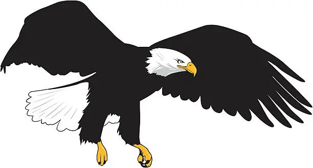 Vector illustration of Soon Eagle