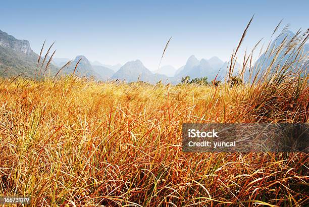 Трава — стоковые фотографии и другие картинки Без людей - Без людей, Возвышенность, Горизонтальный