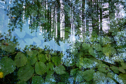 Abstract paintings in nature from superimposed photos in one frame