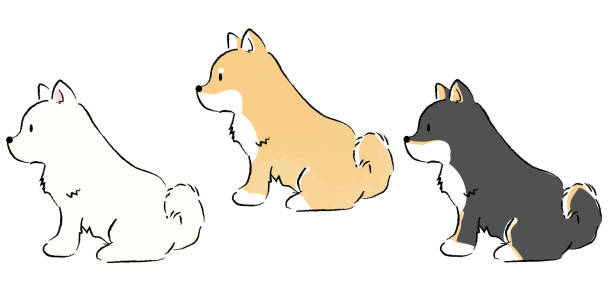 A simple, hand-drawn illustration of a cute Shiba Inu sitting A simple, hand-drawn illustration of a cute Shiba Inu sitting shiba inu black and tan stock illustrations