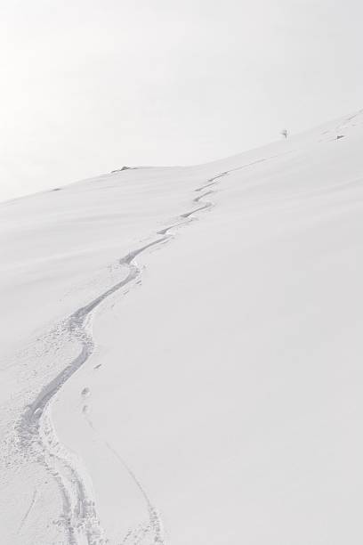 pista em zigue-zague - telemark skiing skiing ski moving down - fotografias e filmes do acervo