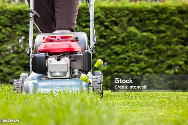 Mowing The Grass Stock Photo - Download Image Now - Mowing, Lawn Mower, Yard - Grounds