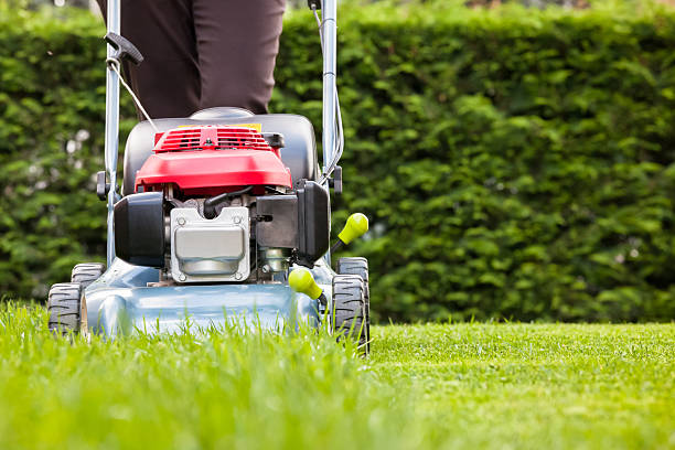 mowing a grama - relvado - fotografias e filmes do acervo