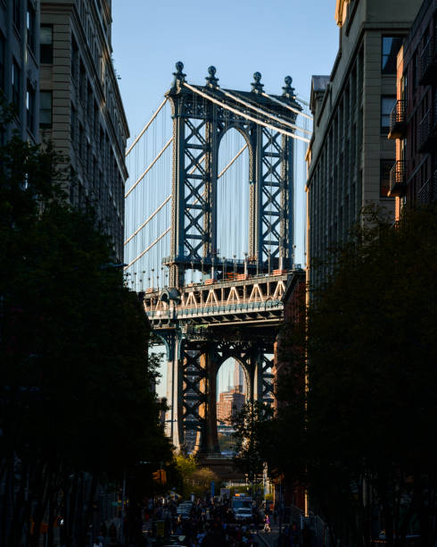 istock Dumbo in New York 1667390428