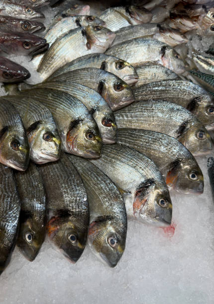 istock Fresh fish at a market stall 1667441633