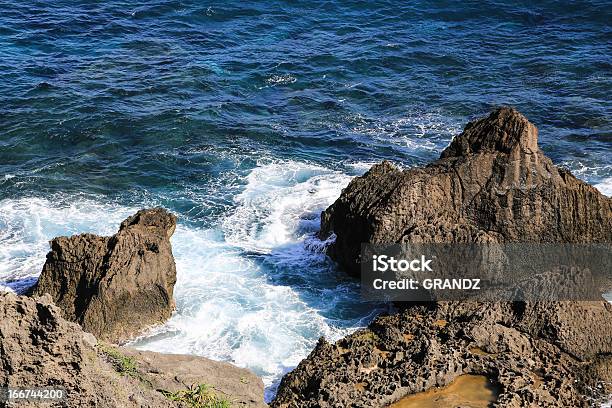 Foto de Onda Quebrando e mais fotos de stock de Afloramento - Afloramento, Alga marinha, Arrebentação