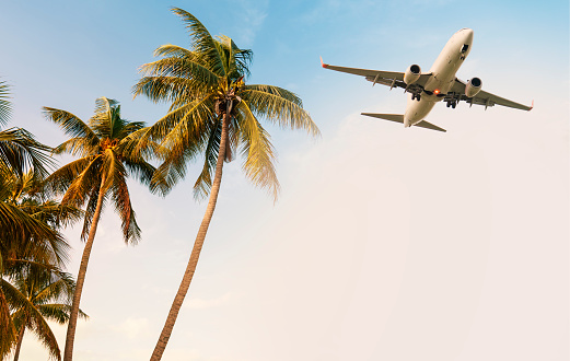 commercial aircraft Fly past coconut trees. Tropical sea tourism destination.