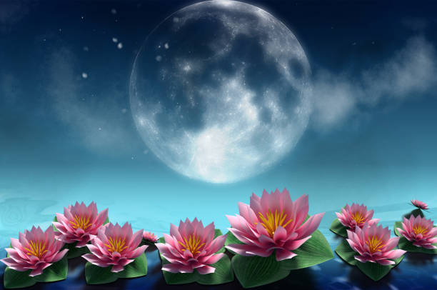 istock illustration flowers floating in water with night moonlight background 1667502549