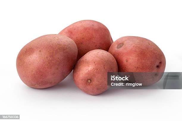 Quatro Novas Batata Vermelha Isolado Em Um Grupo - Fotografias de stock e mais imagens de Batata vermelha - Batata vermelha, Fundo Branco, Batata Crua