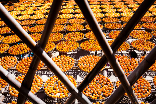 istock Close-up of Making Dried Persimmons in Taiwan. 1667532588
