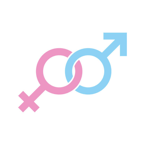 ilustrações de stock, clip art, desenhos animados e ícones de heterosexual pair gender sign vector icon - pair sensuality couple heterosexual couple