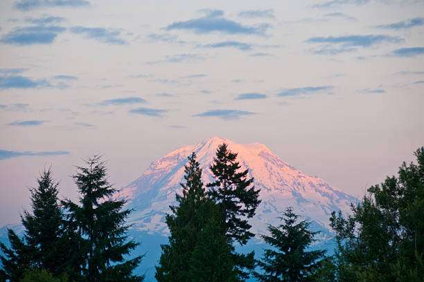 Mount Rainier at Sunset At 14,410' above sea level, Mount Rainier dominates the landscape of the Puget Sound region. Mount Rainier is the highest point in Washington State, and is also the most glaciated mountain in the continental United States. This picture of Mount Rainier was taken at sunset from Edgewood, Washington State, USA. jeff goulden mountain stock pictures, royalty-free photos & images
