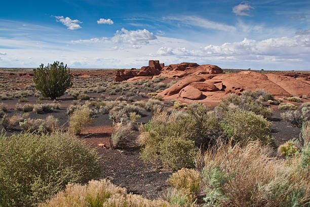 istock Wukoki Pueblo and Desert Sagebrush 166754624