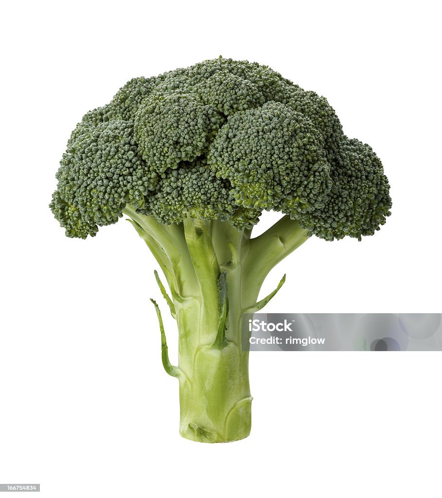 Fresh Sprig of Broccoli isolated Broccoli is an edible green plant in the cabbage family whose large, flowering head is eaten as a vegetable.  This food falls into the category of healthy eating.  It is very nutritious and chocked full of vitamins.  This food was photographed pretty much straight on.  The stem is on the bottom and the flower is on the top. The image is a cut out, isolated on a white background.  You can find broccoli and the produce section of your grocery store. Broccoli Stock Photo