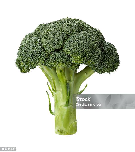 Fresh Sprig Of Broccoli Isolated Stock Photo - Download Image Now - Broccoli, White Background, Cut Out