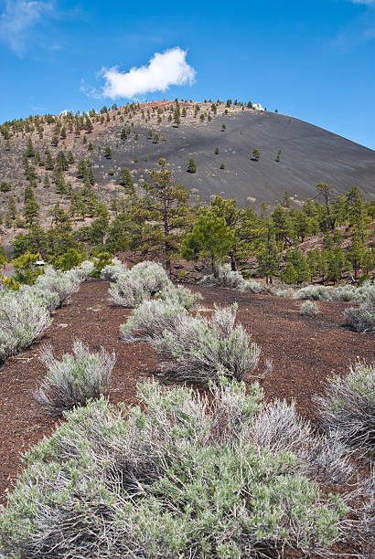 istock Sunset Crater and Sagebrush 166755080