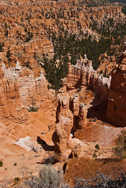 Thor's Hammer Bryce Canyon is famous for its tall thin spires of rock known as hoodoos. Hoodoos start with an initial deposition of rock. Then over time the rock is uplifted then eroded and weathered. Hoodoos typically consist of relatively soft rock topped by harder, less easily eroded stone that protects each column from the weather. Hoodoos generally form within sedimentary rock such as sandstone. These hoodoos were photographed from Sunset Point in Bryce Canyon National Park, Utah, USA. jeff goulden bryce canyon national park stock pictures, royalty-free photos & images