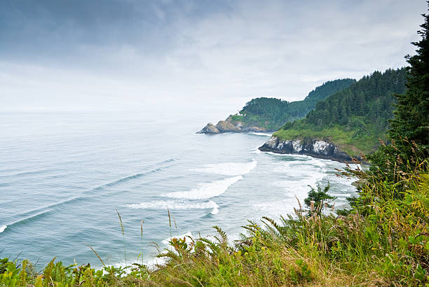istock Early Morning at Heceta Head 166756395