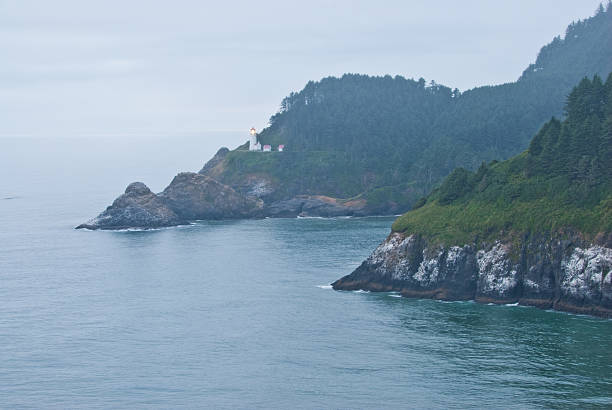 istock Heceta Head Lighthouse in the Fog 166756414