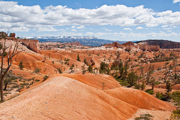 Red Sandstone Mounds Bryce Canyon is famous for its tall thin spires of rock known as hoodoos. Hoodoos start with an initial deposition of rock. Then over time the rock is uplifted then eroded and weathered. Hoodoos typically consist of relatively soft rock topped by harder, less easily eroded stone that protects each column from the weather. Hoodoos generally form within sedimentary rock such as sandstone. These hoodoos were photographed from the Queen's Garden Trail in Bryce Canyon National Park, Utah, USA. jeff goulden bryce canyon national park stock pictures, royalty-free photos & images