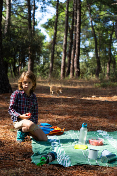 istock Child eating on a picnic in the woods 1667568185