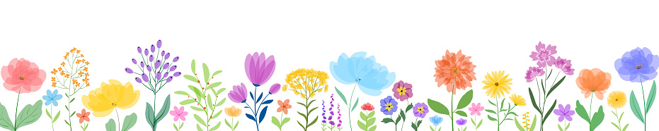 Spring flowering plants on a white background. Floral backdrop with summer wildflowers. Glade of beautiful herbs. Vector illustration.