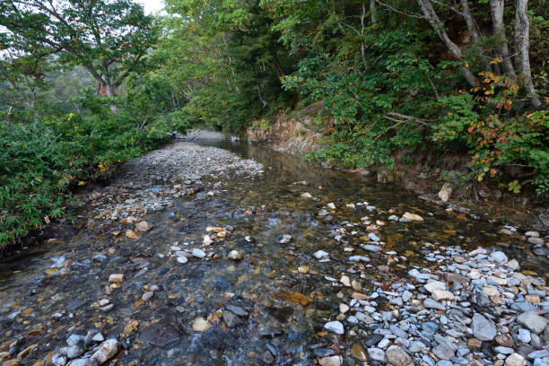 istock Mt. Shibutsu, Oze, Gunma, Japan 1667570379