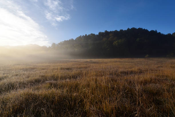 istock Mt. Shibutsu, Oze, Gunma, Japan 1667570758
