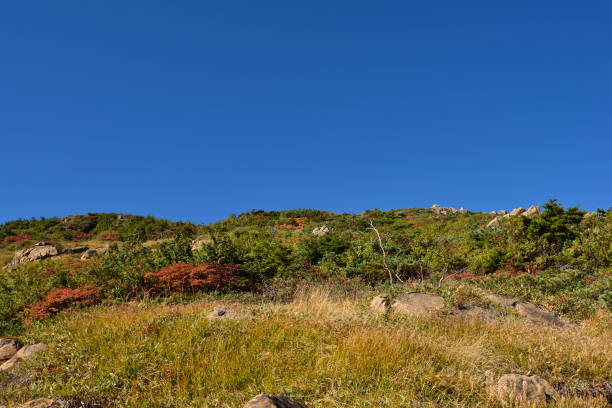 istock Mt. Shibutsu, Oze, Gunma, Japan 1667593128