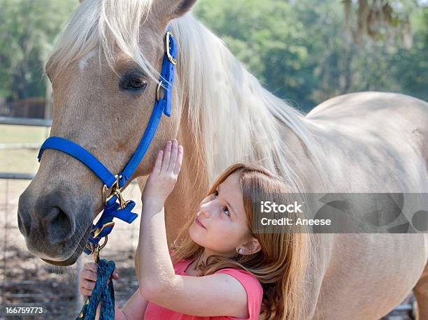 Молодая Девушка И Лошадь — стоковые фотографии и другие картинки Детский лагерь - Детский лагерь, Ребёнок, Лошадь