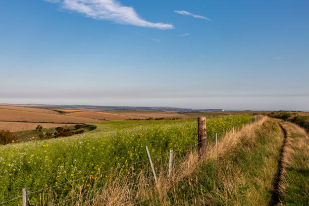 istock A pathway alongside farmland in the South Downs, with a distant view of the chalk cliffs at the coast and a blue sky overhead 1667603479