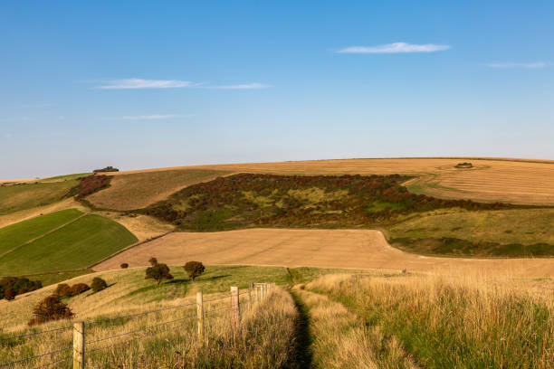 istock A South Downs landscape on a September evening, looking down towards Balsdean Bottom 1667605046