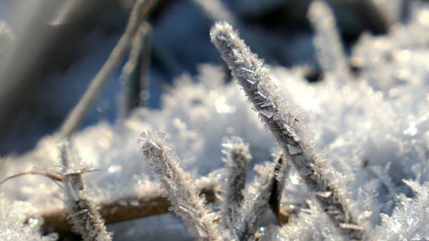 istock Macro Snowflakes Ice Crystals and Frosted Grass 1667615064