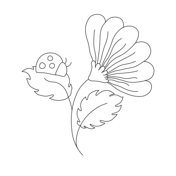 Vector illustration of Single meadow daisy flower with a ladybug beetle on the leaf. Botanical element drawn with outline.