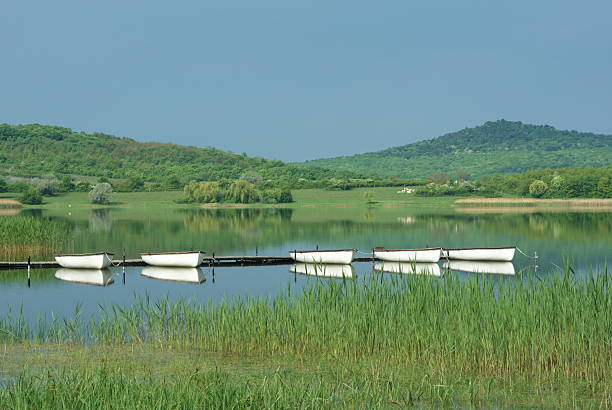 Boats stock photo