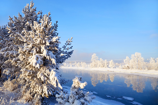 Beautiful winter landscape. Snow-covered trees, snow on a pine tree, snowdrifts all around are reflected in the river. Frosty day.