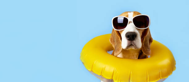 istock summer holiday by the sea. Banner. 1667647382