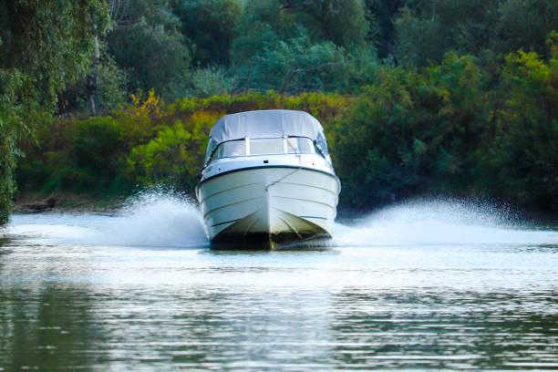istock Speed boat in the Danube Delta 1667652389