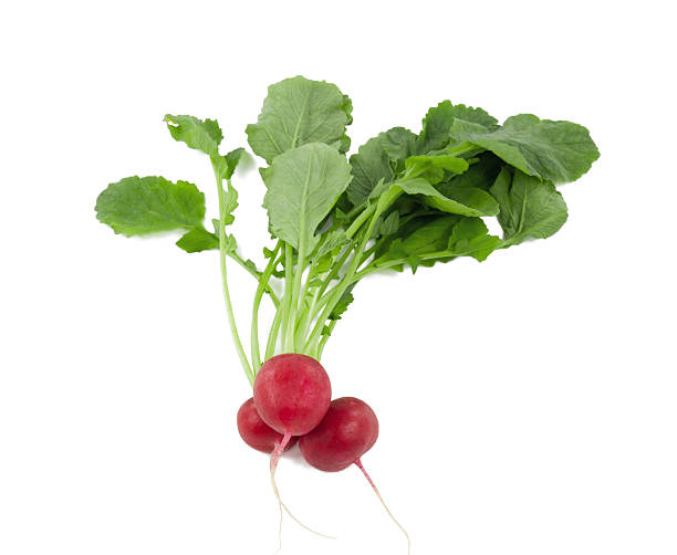 istock Bunch of fresh radishes 166766937