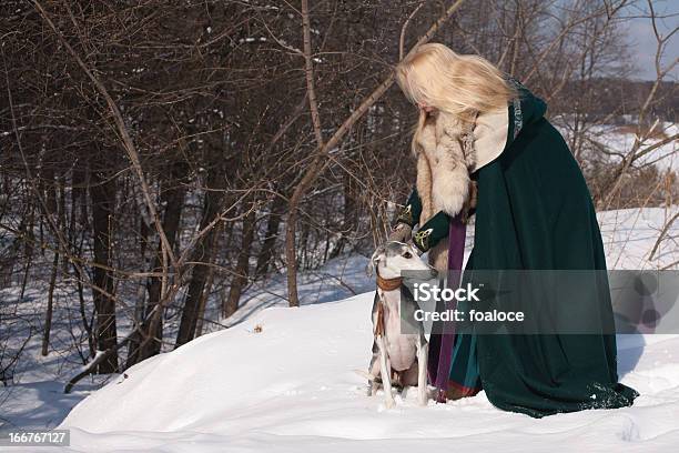 Blonde E Saluki - Fotografias de stock e mais imagens de Adulto - Adulto, Andar, Animais caçando